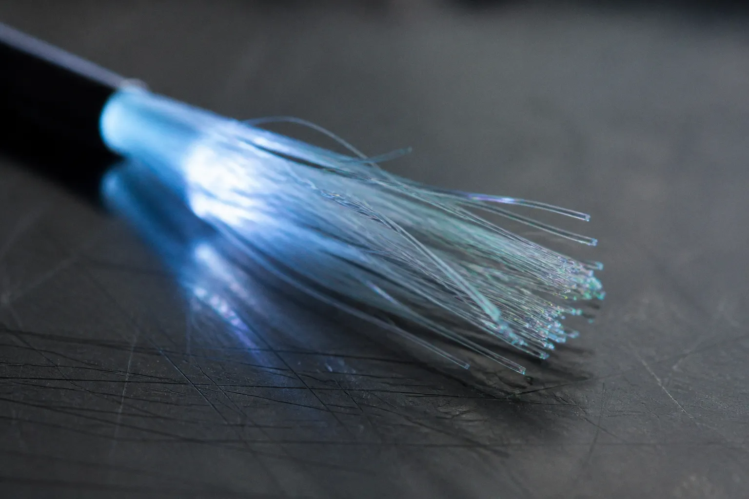 Axonal damage detection: what DTI reveals today