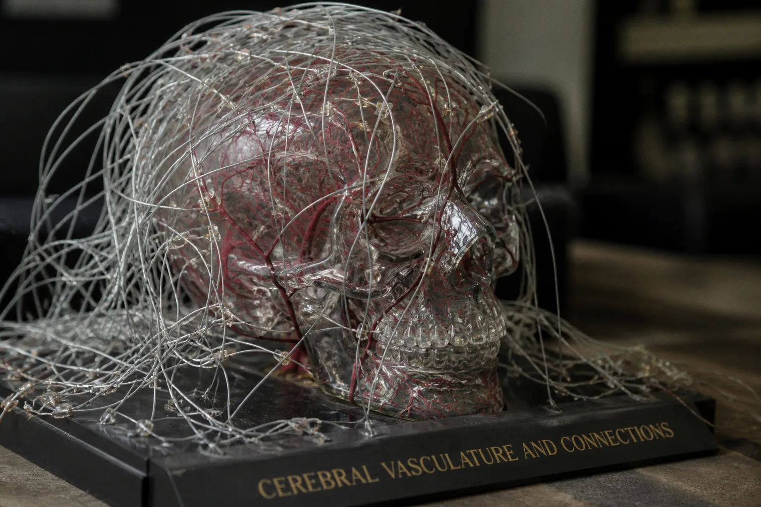 Neurovascular uncoupling: the fMRI error that misled surgeons