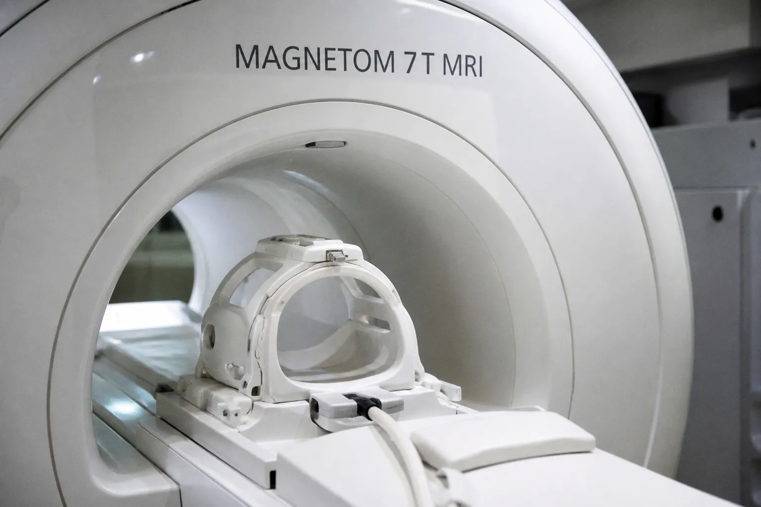 Ultra-High-Field 7T MRI Maps Brain Hubs Driving Risky Decision-Making